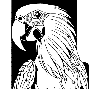 Black and white illustration of a macaw with detailed plumage