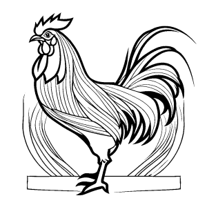 Rooster outline with feathers and crest