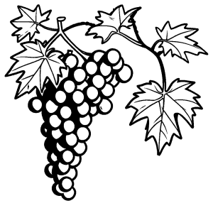 Grape vine with leaves coloring page