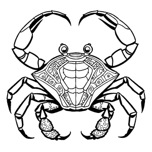 Crab outline drawing with intricate shell patterns