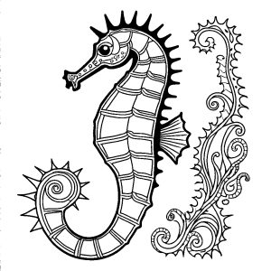 Seahorse illustration with intricate designs for coloring