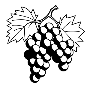 Simple grape with leaf coloring page