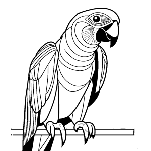 Clear lines minimal Grey parrot drawing