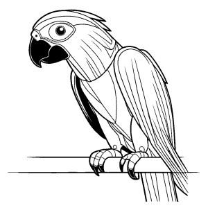 Simple black and white Grey parrot illustration