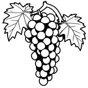 Simple grape bunch outline coloring page