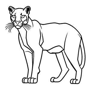 Puma animal outline sketch for coloring page