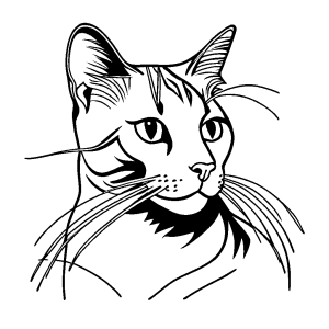 Realistic cat's face coloring page