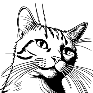 Realistic cat's whiskers coloring page