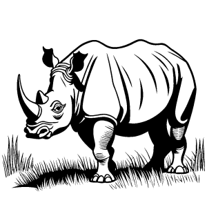 Rhinoceros standing in a grassy plain coloring page