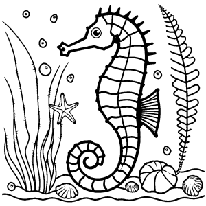 Seahorse with starfish and seashells for coloring
