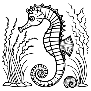 Seahorse surrounded by seashells and coral for coloring