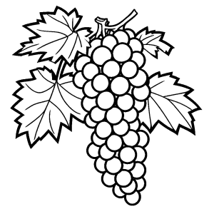 Easy grape bunch outline coloring page