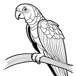 Line art of Grey parrot with simple details for coloring