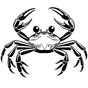 Happy crab with raised claws drawing