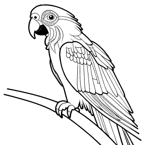 Simple uncolored Grey parrot drawing