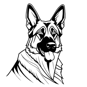German Shepherd dog coloring page with alert expression coloring page