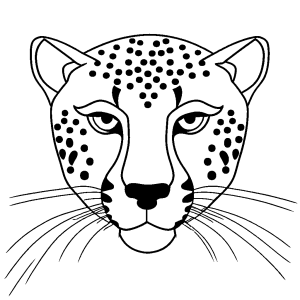 Cheetah face sketch with intense eyes and whiskers coloring page