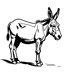 Curious Donkey Coloring Page - Black and White Sketch