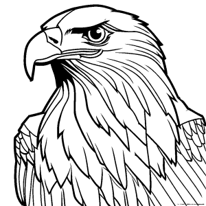 Minimalist line art of an eagle with intense, piercing eyes coloring page