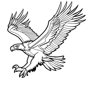 Simple line art of an eagle soaring through the sky coloring page