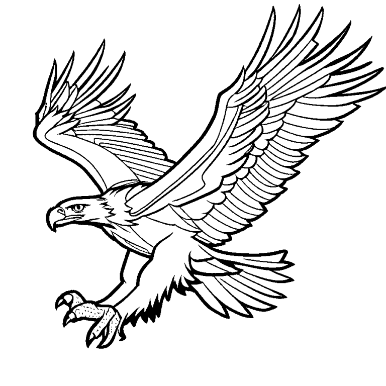 Eagle in flight coloring page Lulu Pages