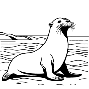 Easy Sea Lion drawing coloring page