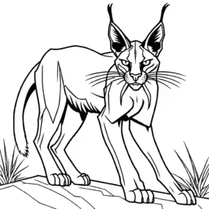 Fear some caracal with its mouth wide open and sharp pointed teeth coloring page