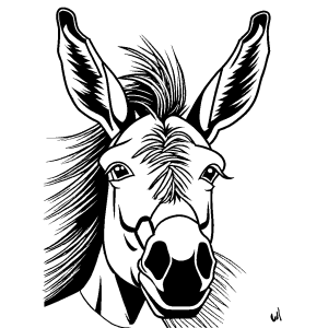 Donkey Coloring Page - Long Ears and Fluffy Mane
