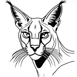 Simple drawing of a Caracal with focused expression coloring page