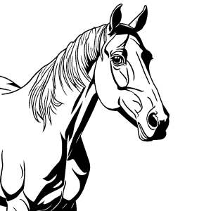 Realistic horse coloring page of horse grazing in peaceful pasture with halter around its neck coloring page