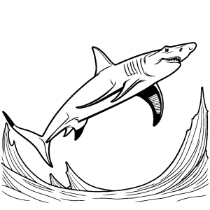 Illustrated hammerhead shark for coloring book