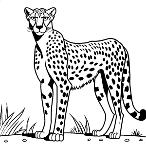 Majestic Cheetah illustration standing tall with proud expression coloring page