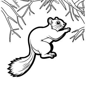 Flying squirrel happily jumping between tree branches coloring page