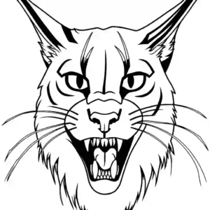 Powerful Caracal displaying its formidable teeth and ferocious demeanor coloring page