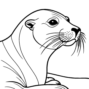 Sea Lion face coloring page