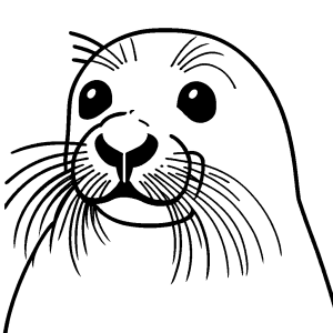 Seal face coloring page