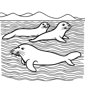 Family of seals swimming in the blue ocean water coloring page