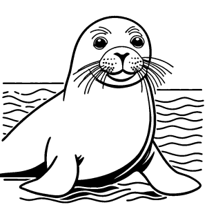 Seal on beach coloring page