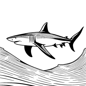 Close-up drawing of shark's powerful tail fin coloring page