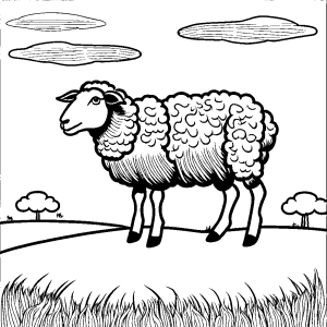 Grazing sheep coloring page