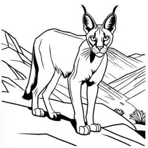 Caracal walking through rocky terrain illustration coloring page