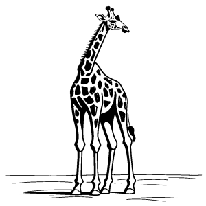 Giraffe standing single line drawing coloring page