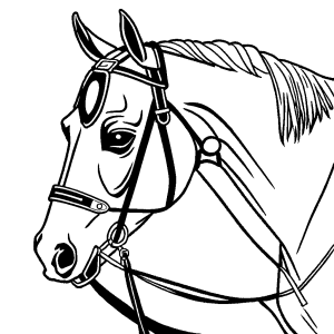 Realistic horse coloring page of horse with saddle and bridle getting ready for a ride coloring page