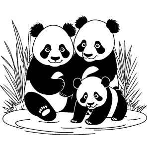 Black and white outline of a panda bear and a baby panda bear playing together, coloring page