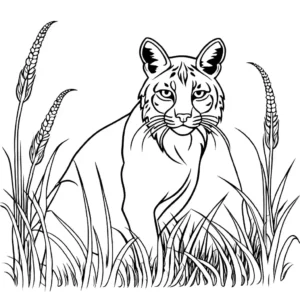 Bobcat coloring page surrounded by tall grass coloring page