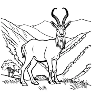 Markhor coloring page in green valley coloring page