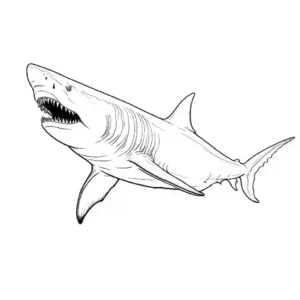 Megalodon with sharp teeth and fins, ready to attack coloring page