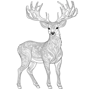 Majestic deer with intricate fur patterns outline coloring page