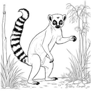 Lemur playing with its tail in a natural habitat coloring page