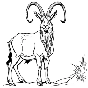 Proud male Markhor coloring page with long horns coloring page